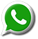 Contacto Whatsapp +569 3486 8290
